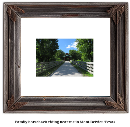 family horseback riding near me in Mont Belvieu, Texas